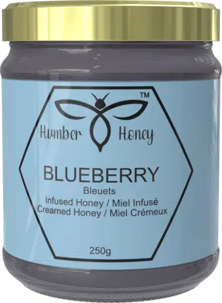 Blueberry Infused Honey image 0